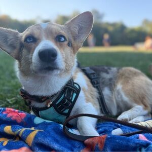 Meet your Posher, Karen